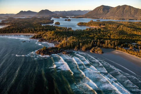 Tofino